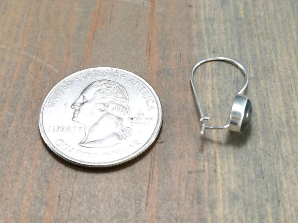 Dainty Kidney Wire Latch Back Earrings